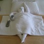 :))) Hilton Sharks Bay Resort
