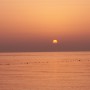 Seaside view