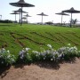 Отдых в Savita Resort & Spa 5* в 2009 году